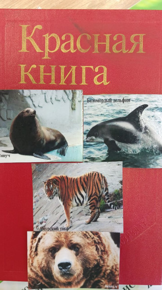 Эколята и мир животных.